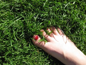 foot-5033